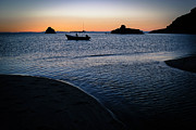 Sunset Silhouettes Photograph by Becqi Sherman