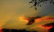 Sunset Streak Photograph by Linda Stern