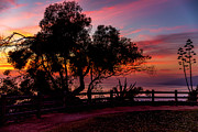 Sunset Silhouettes From Palisades Park Photograph by Gene Parks