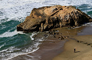 Surf Fishing at Ocean Beach Photograph by Bonnie Follett