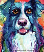 Surprised Border Collie Watercolor Photograph by Svetlana Novikova
