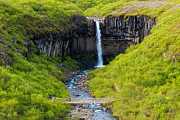 Svartifoss waterfall in green Iceland landscape Photograph by Matthias Hauser