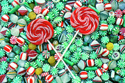 Sweet Tooth Photograph by Carole Gordon Sweet Tooth Photograph by Carole Gordon