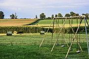 Swing Set and Haybales Photograph by Tana Reiff