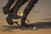 T-6 Tango Photograph by David Hart