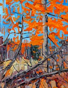 Tangled Tamaracks Painting by Phil Chadwick