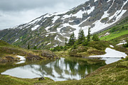Tarns of Nagoon 209 Photograph by Tim Newton