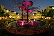 TCU Frog Fountain Photograph by Jonathan Davison