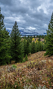 Teton Autumn Photograph by Jeff Stoddart Teton Autumn Photograph by Jeff Stoddart