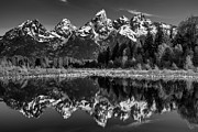 Teton Mono Photograph by Darren White