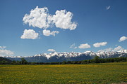 Tetons Photograph by Jim Goodman