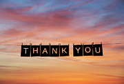 Thank You Photograph by Tim Gainey
