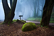 That way Photograph by Jorge Maia