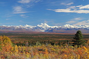 The Alaska Range From The Denali Highway Photograph by Steve Wolfe The Alaska Range From The Denali Highway Photograph by Steve Wolfe
