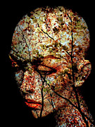 The autumn in mind Photograph by Gabi Hampe