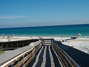 The Boardwalk Photograph by Tammie J Jordan