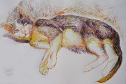 The marginal cat Painting by Sukalya Chearanantana