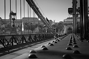 The Chain Bridge, Danube Budapest Photograph by Perry Rodriguez