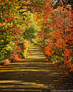 The Colors of Autumn Photograph by Kathi Isserman