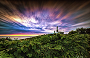 The Crown of Montauk Photograph by Alissa Beth Photography