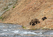 The Danger Has Passed Photograph by Cheryl Strahl