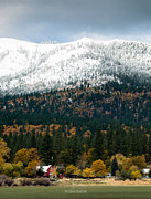 The Dawn of Winter Photograph by The Couso Collection
