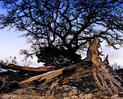 The Day the Land Burned Photograph by Karen Musick