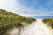 The First Look At The Sea Photograph by Hannes Cmarits