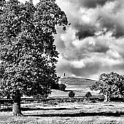 Old John Bradgate Park Photograph by John Edwards