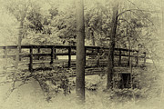 The Footbridge Photograph by William Norton The Footbridge Photograph by William Norton