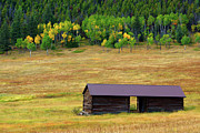 The Forgotten Barn Photograph by John De Bord