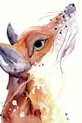 The Fox Painting by Dawn Derman