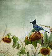 The Gleaner Photograph by Theresa Tahara The Gleaner Photograph by Theresa Tahara