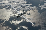 The Global Hawk Digital Art by Erik Simonsen