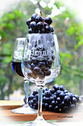 The Grapes are In Photograph by PJQandFriends Photography