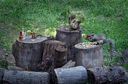 The Grey Squirrel Rowdy Tails Band making sweet music Photograph by Dan Friend