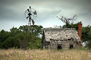 The Guardian Photograph by Mike Irwin