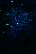 The Individual Photograph by Kreddible Trout