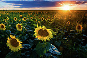 The Last Light Photograph by John De Bord