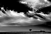 The Liverpool Plains - bw Photograph by Werner Padarin