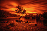 The lonely tree at Llyn Padarn lake - Part 3 Photograph by Mariusz Talarek