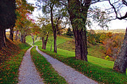 The Long Road in Autumn Photograph by Mike Murdock