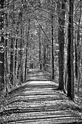 The Long Walk Photograph by Merle Grenz The Long Walk Photograph by Merle Grenz