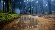 The only way Photograph by Jorge Maia