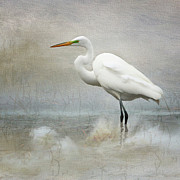 The Peace of Wild Things Photograph by Karen Lynch