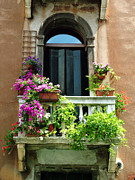 The Peach Wall with Fushia Flowers Photograph by Donna Corless The Peach Wall with Fushia Flowers Photograph by Donna Corless
