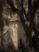 The Pink Chapel, St. Simons Photograph by John Simmons
