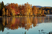 The point of Maine fall colors Photograph by Jeff Folger