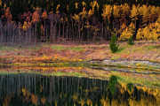 The Quiet Spot Photograph by John De Bord