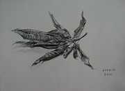 The Relatives Drawing by Sukalya Chearanantana